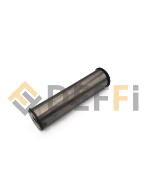 OMCAAAA000038-AXE D30x124 AVEC 2 CIRCLIPS