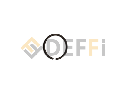 OMCAABQ000219-ANNEAU