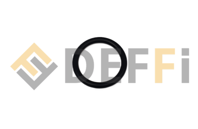 WS4106-Joint torique