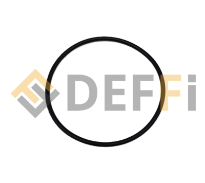 WS4113-Joint torique