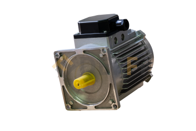 30.117P2 - Moteur 2p