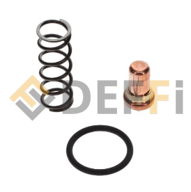 6246396100-Vanne thermostatique 55  sav