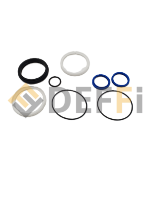 D2872-Kit guarniz.cilindro p1 ev50