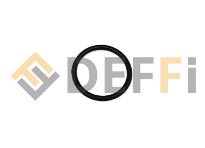 WS4108-Joint torique