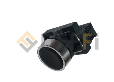 0502024-BOUTON POUSSOIR 1NO FSN