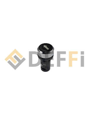 DS35-DQ-ZP1G-Druckknopf Heben DS32/DS35 2xNC